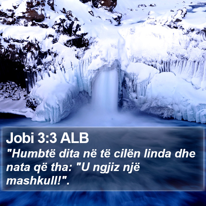 Jobi 3:3 ALB Bible Study