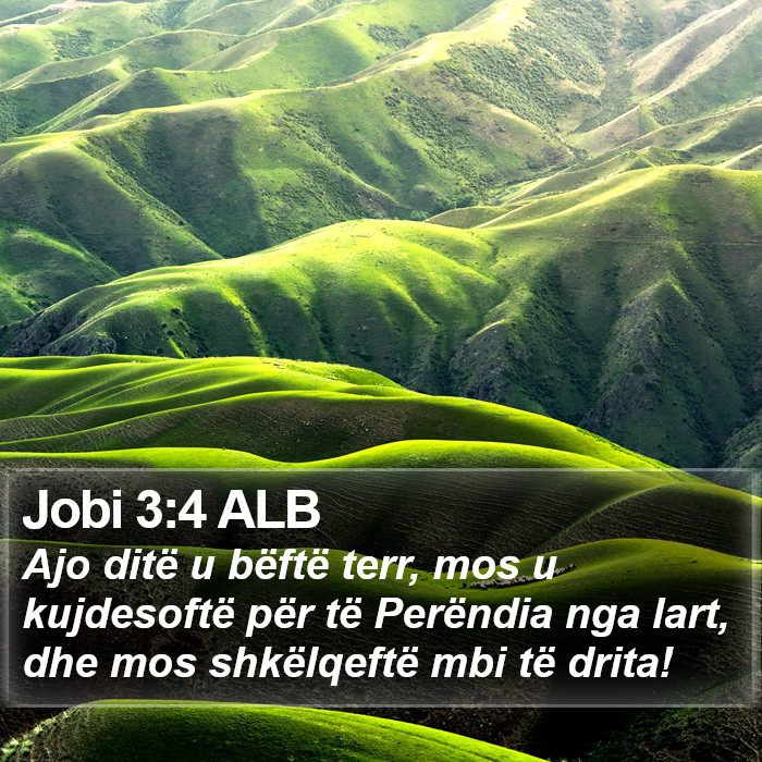 Jobi 3:4 ALB Bible Study