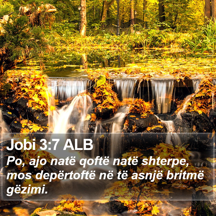 Jobi 3:7 ALB Bible Study