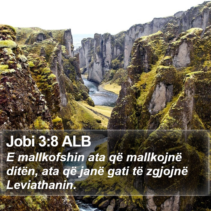 Jobi 3:8 ALB Bible Study