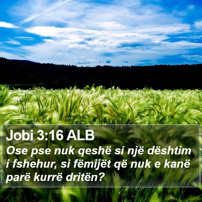 Jobi 3:16 ALB Bible Study