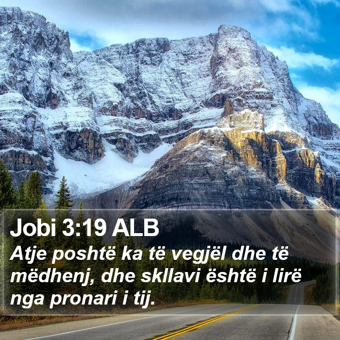 Jobi 3:19 ALB Bible Study