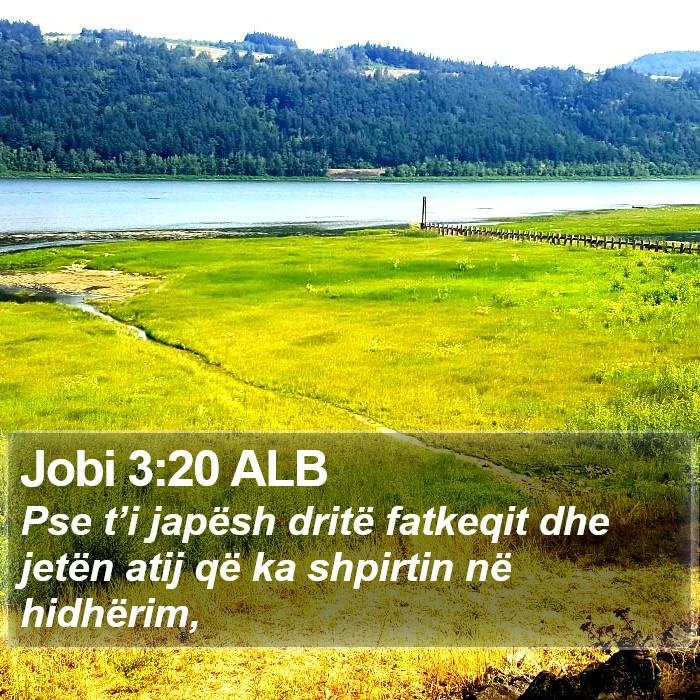 Jobi 3:20 ALB Bible Study