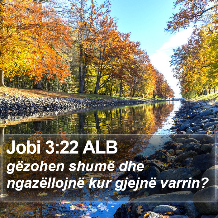 Jobi 3:22 ALB Bible Study