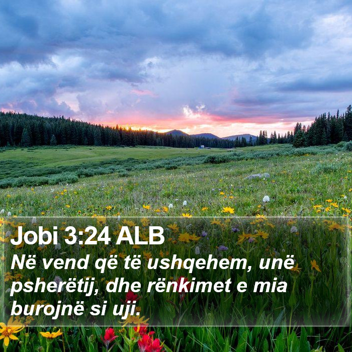 Jobi 3:24 ALB Bible Study