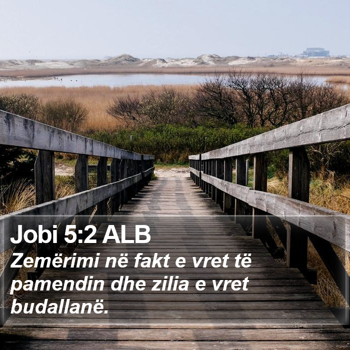 Jobi 5:2 ALB Bible Study