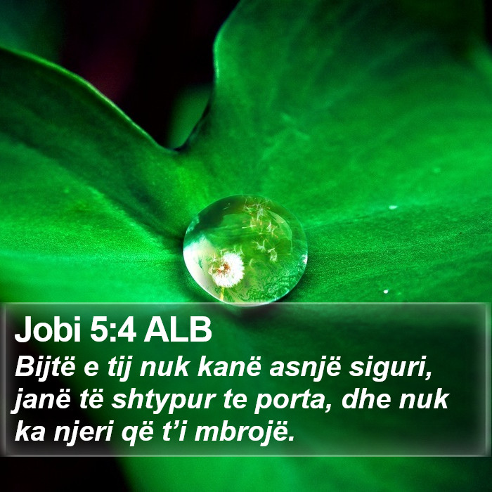 Jobi 5:4 ALB Bible Study