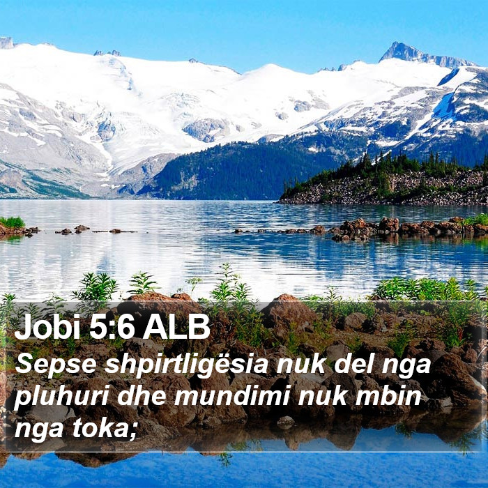 Jobi 5:6 ALB Bible Study