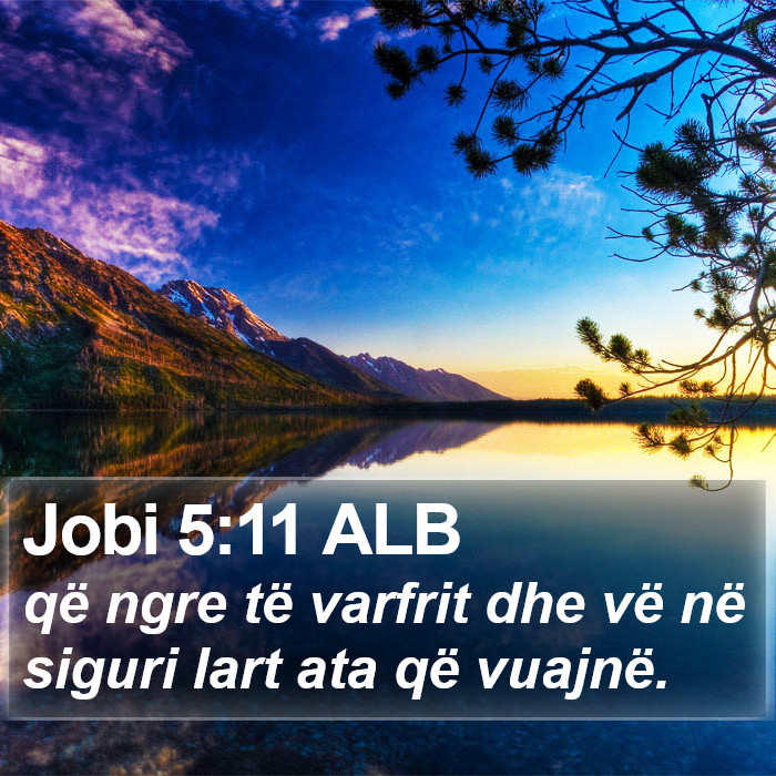 Jobi 5:11 ALB Bible Study