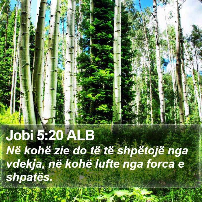 Jobi 5:20 ALB Bible Study