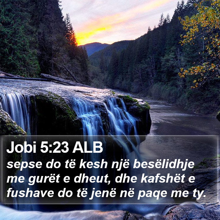 Jobi 5:23 ALB Bible Study