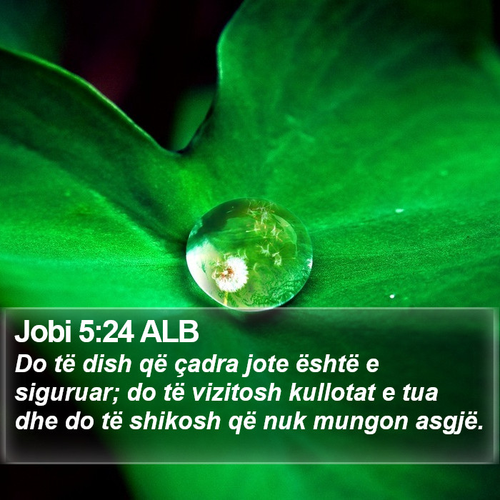 Jobi 5:24 ALB Bible Study