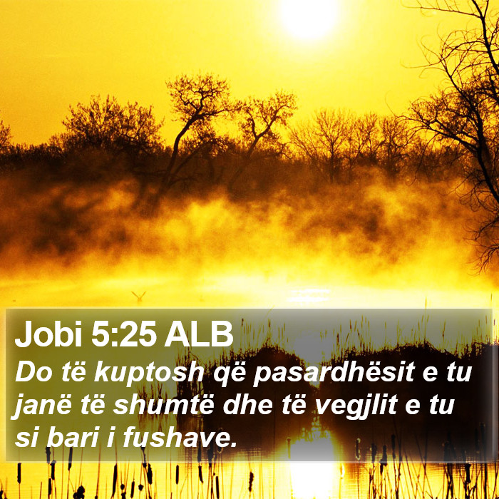 Jobi 5:25 ALB Bible Study