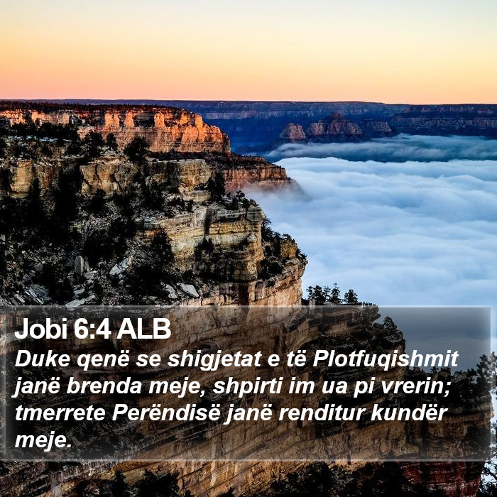 Jobi 6:4 ALB Bible Study