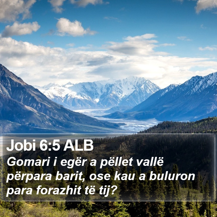 Jobi 6:5 ALB Bible Study