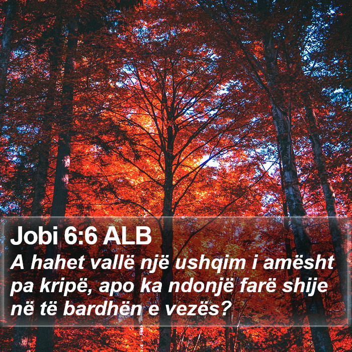 Jobi 6:6 ALB Bible Study