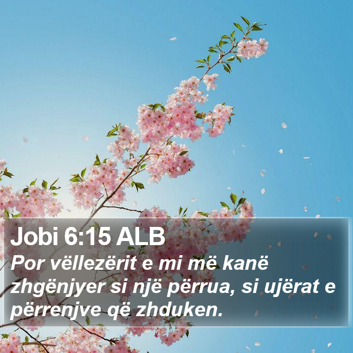 Jobi 6:15 ALB Bible Study