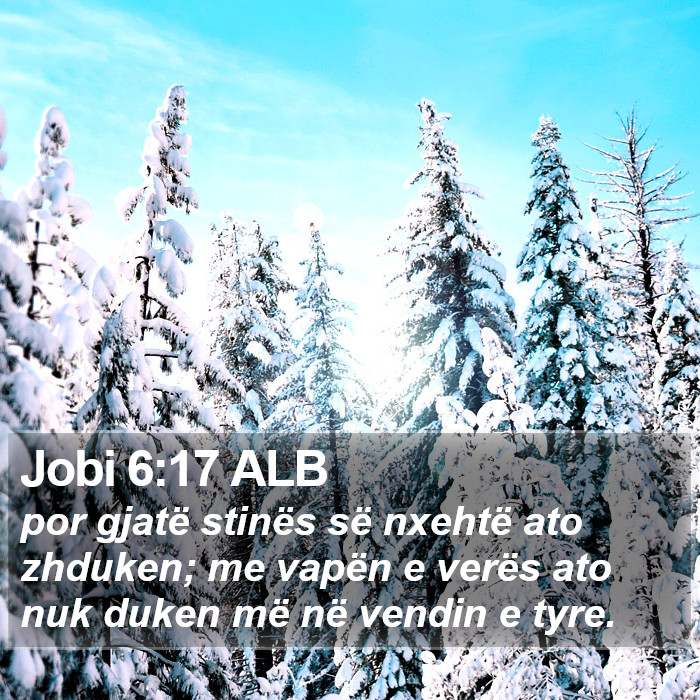 Jobi 6:17 ALB Bible Study