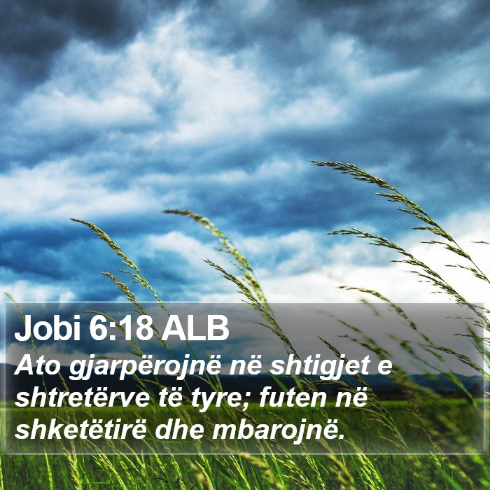 Jobi 6:18 ALB Bible Study