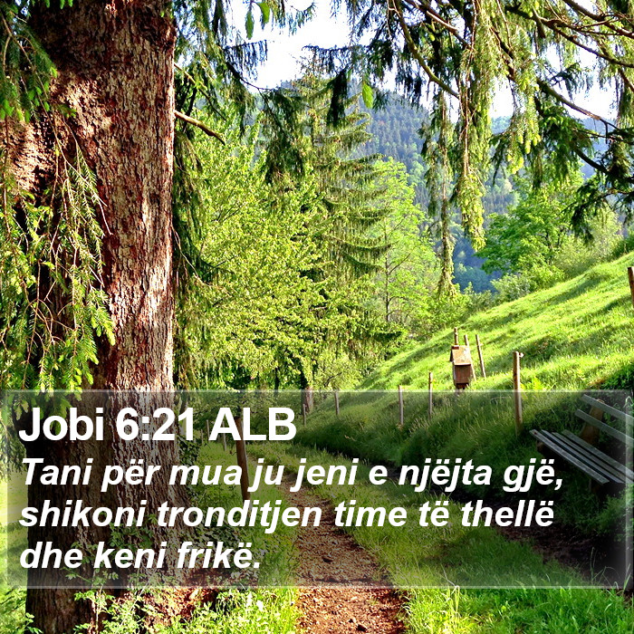 Jobi 6:21 ALB Bible Study