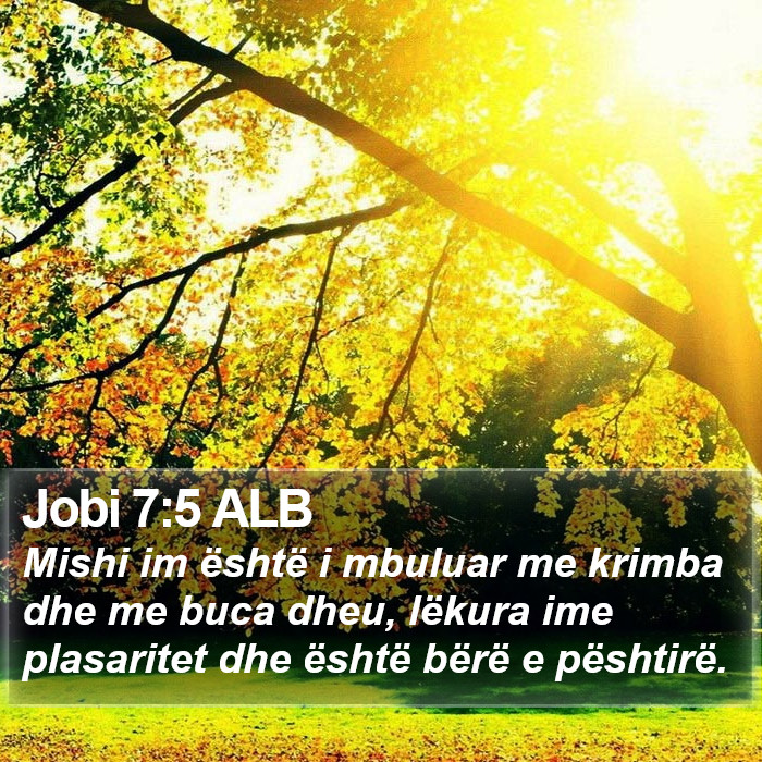 Jobi 7:5 ALB Bible Study