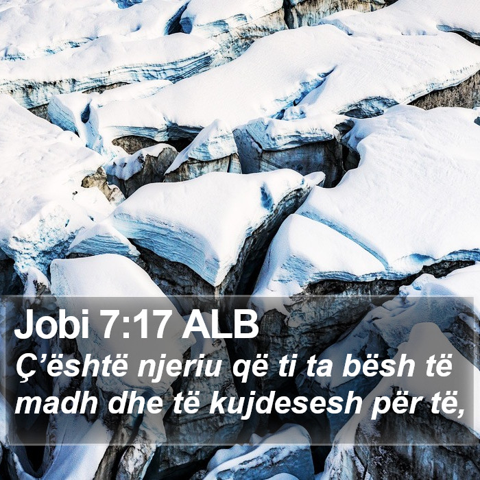 Jobi 7:17 ALB Bible Study