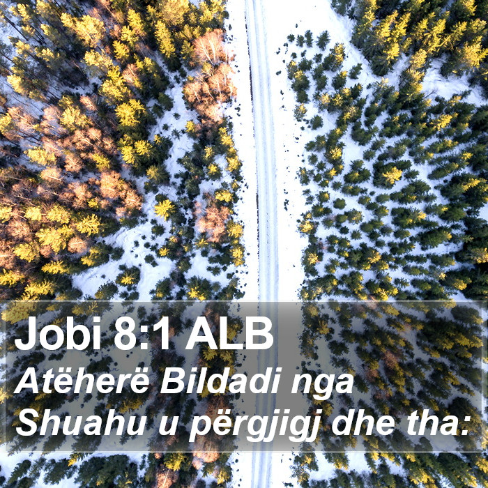 Jobi 8:1 ALB Bible Study