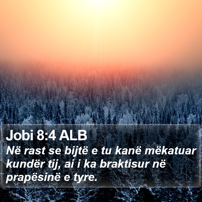 Jobi 8:4 ALB Bible Study