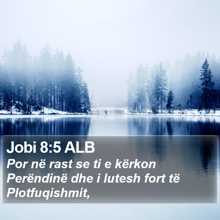 Jobi 8:5 ALB Bible Study