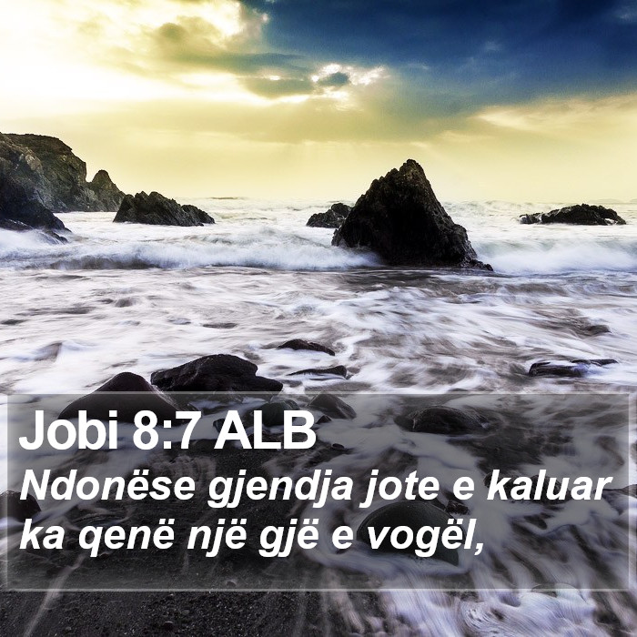 Jobi 8:7 ALB Bible Study