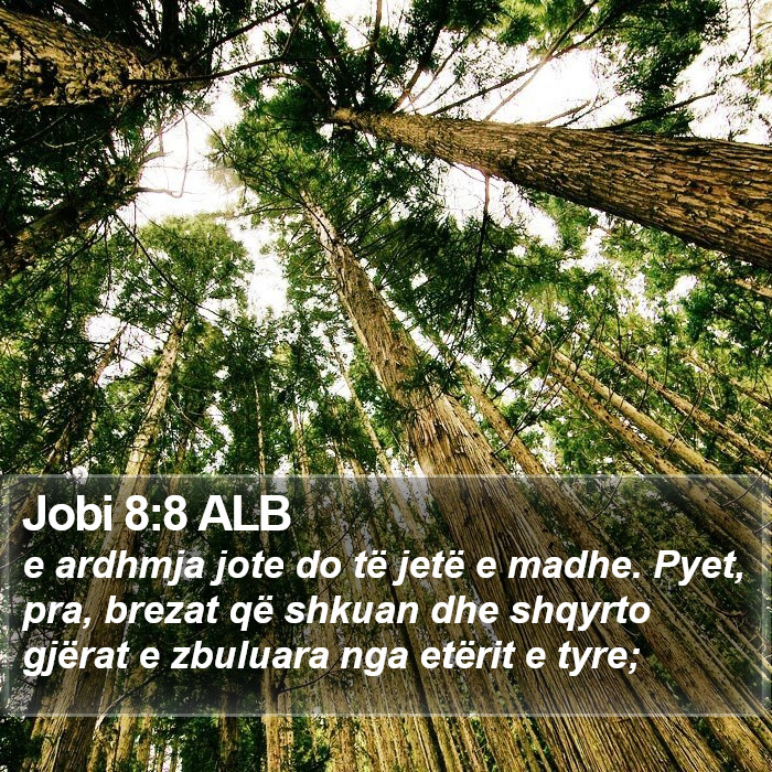 Jobi 8:8 ALB Bible Study