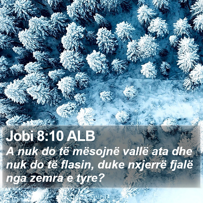 Jobi 8:10 ALB Bible Study