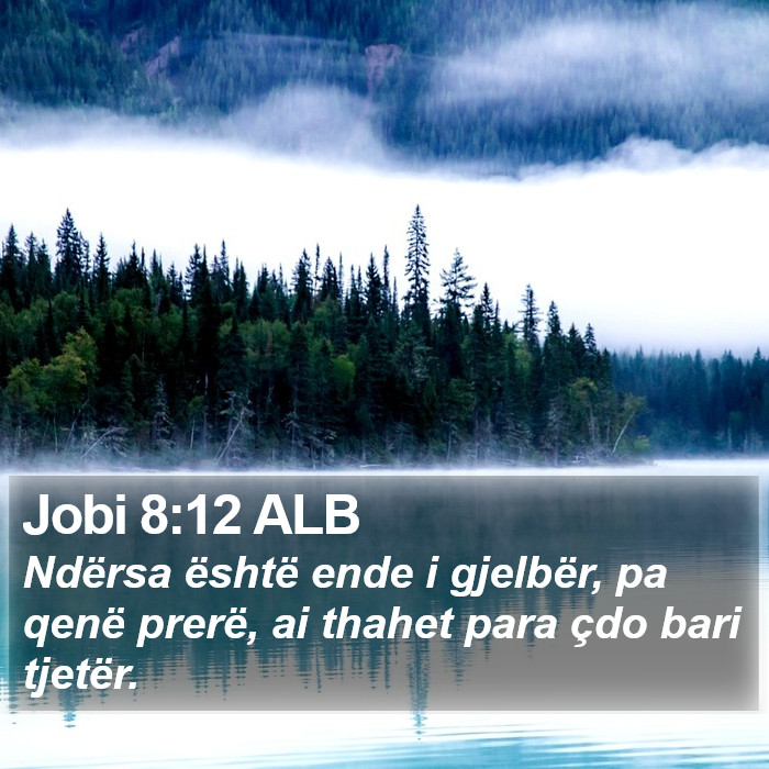 Jobi 8:12 ALB Bible Study