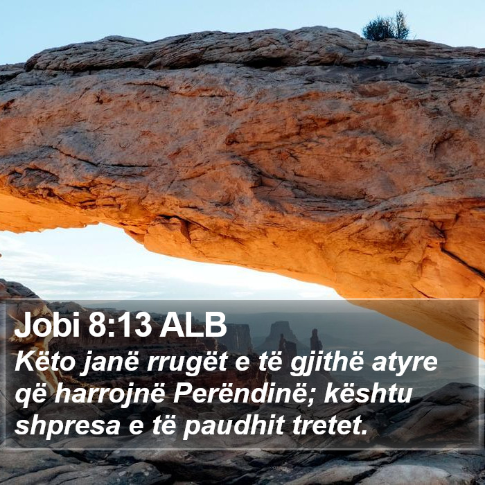 Jobi 8:13 ALB Bible Study