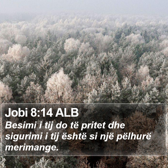 Jobi 8:14 ALB Bible Study