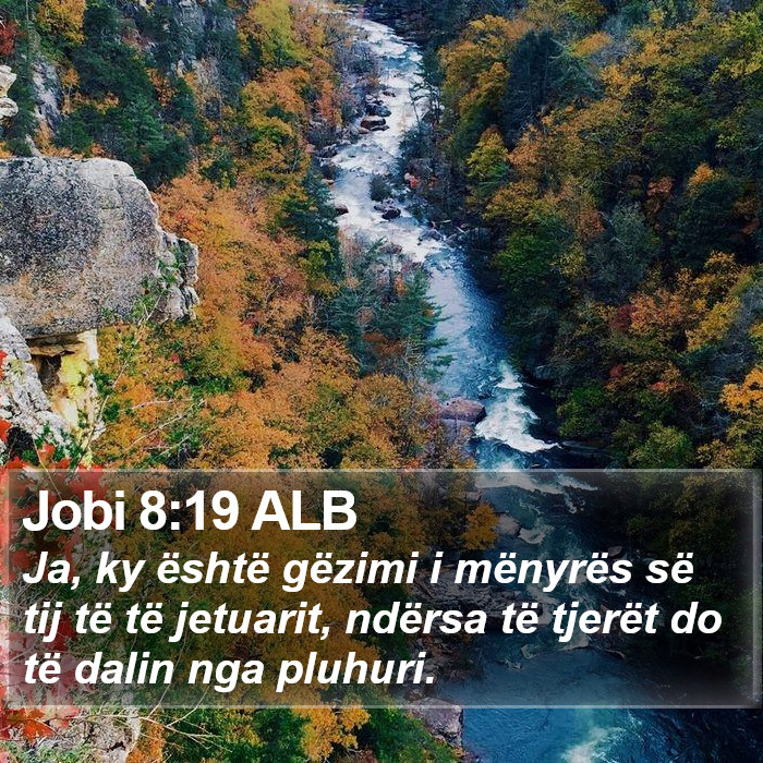 Jobi 8:19 ALB Bible Study