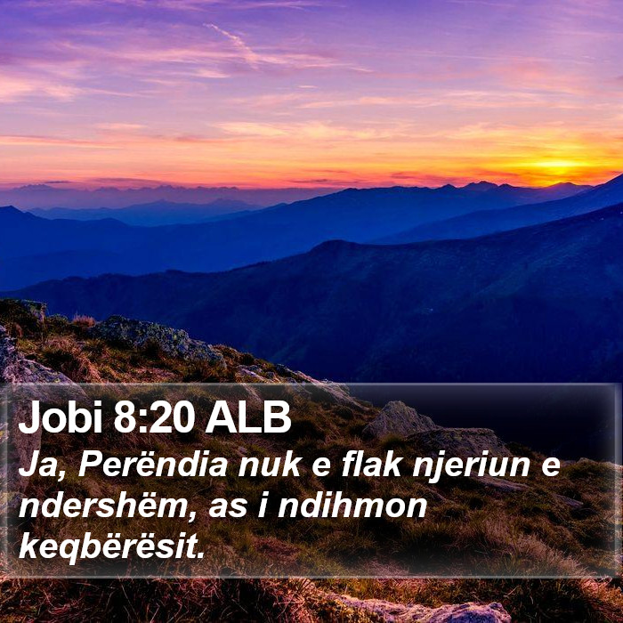 Jobi 8:20 ALB Bible Study