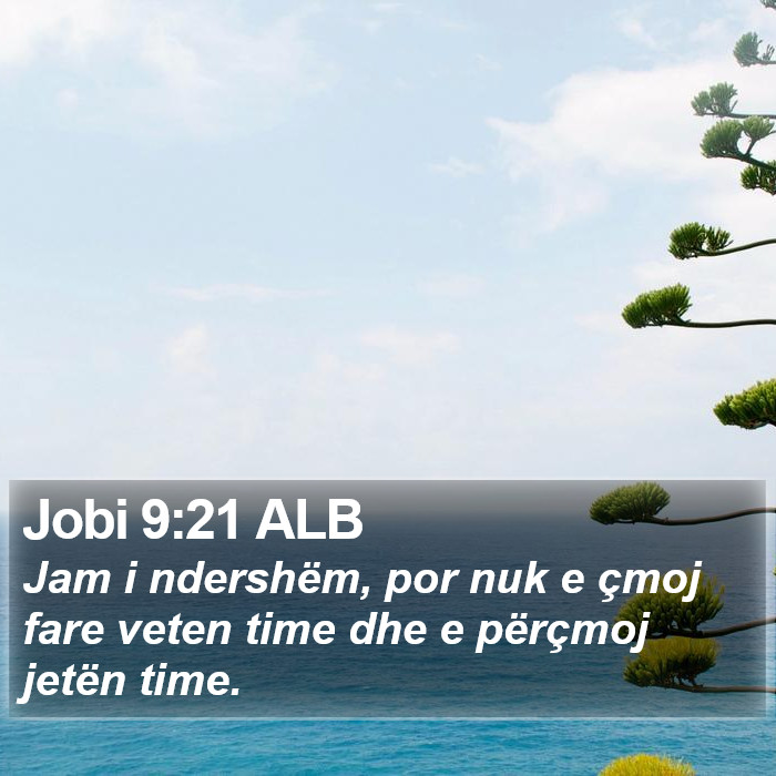 Jobi 9:21 ALB Bible Study