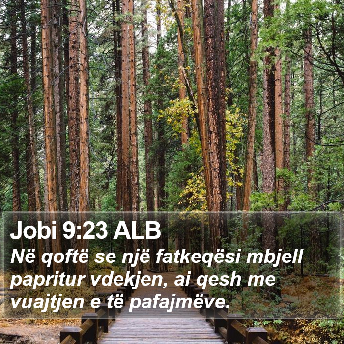 Jobi 9:23 ALB Bible Study