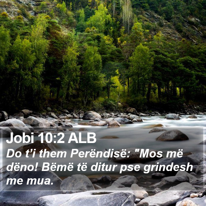 Jobi 10:2 ALB Bible Study