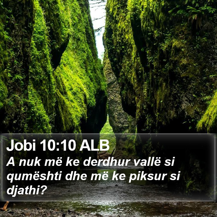 Jobi 10:10 ALB Bible Study