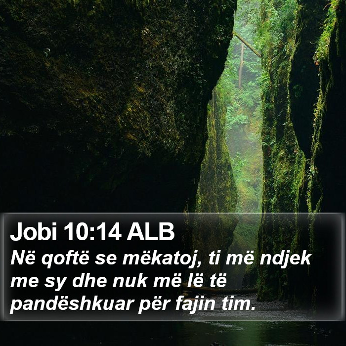 Jobi 10:14 ALB Bible Study