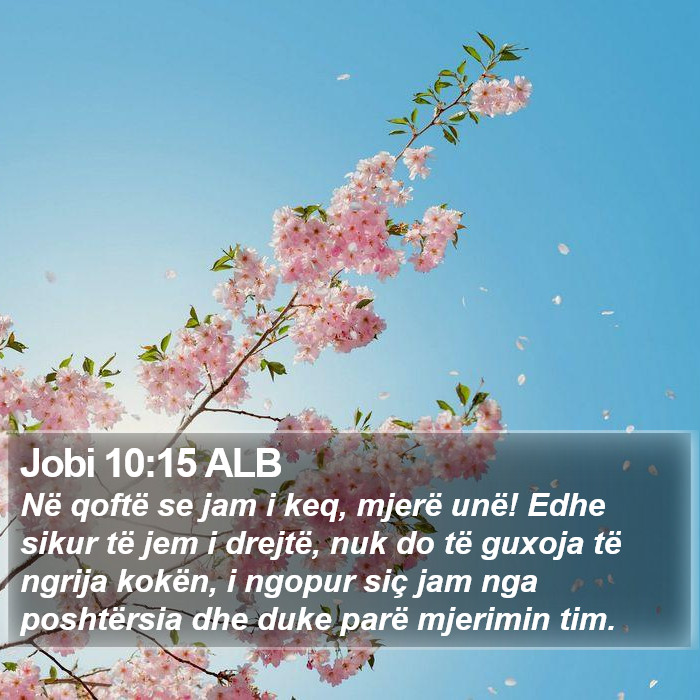 Jobi 10:15 ALB Bible Study
