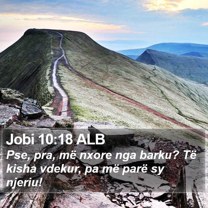 Jobi 10:18 ALB Bible Study