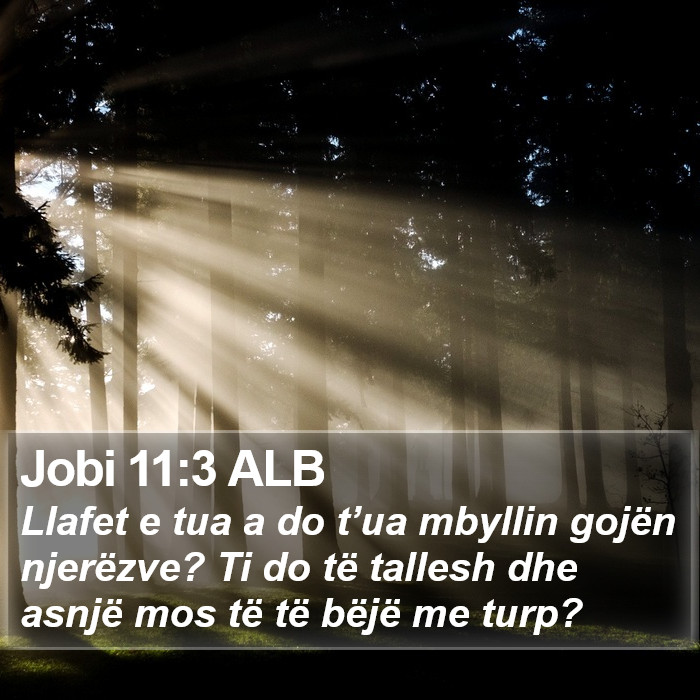 Jobi 11:3 ALB Bible Study