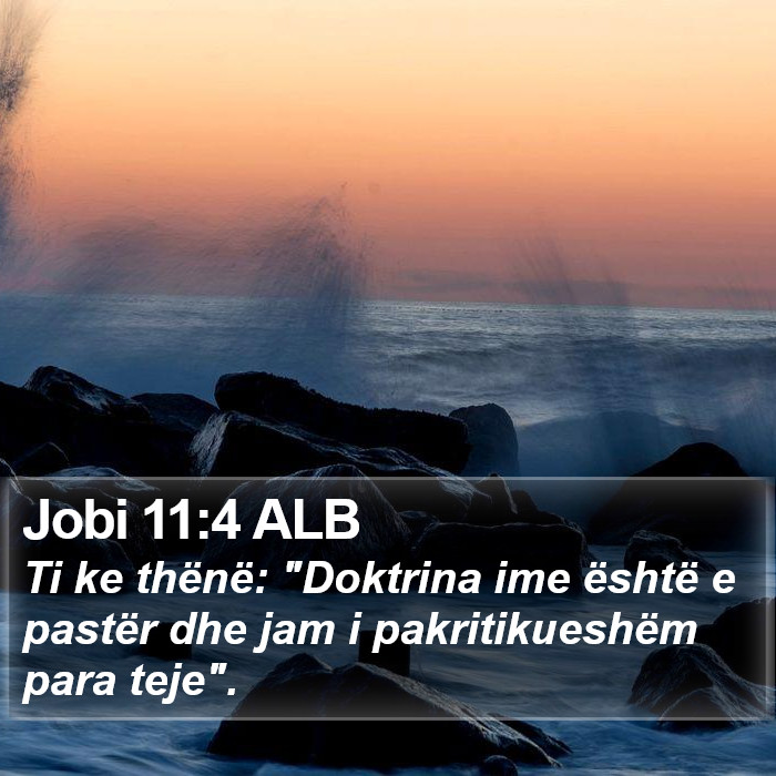 Jobi 11:4 ALB Bible Study