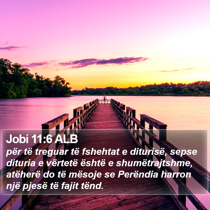 Jobi 11:6 ALB Bible Study