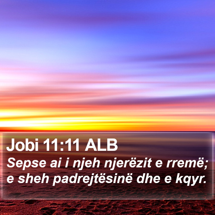 Jobi 11:11 ALB Bible Study