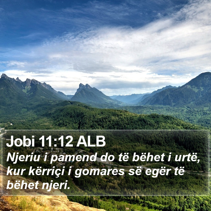 Jobi 11:12 ALB Bible Study