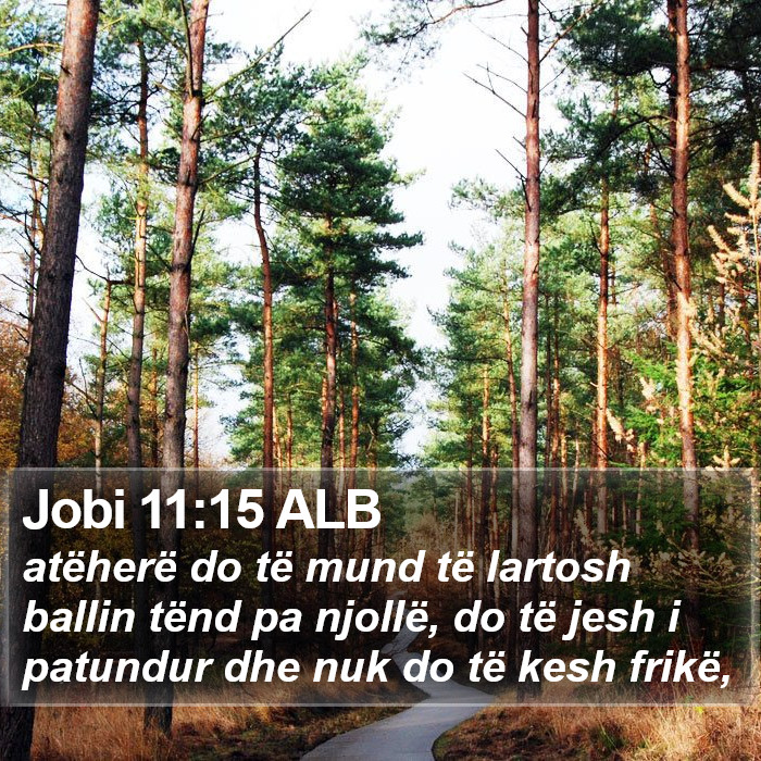 Jobi 11:15 ALB Bible Study